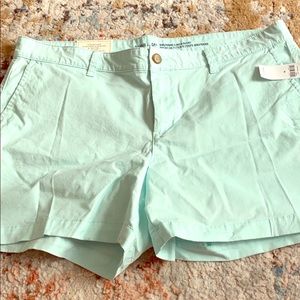 NWT GAP 5 inch women’s shorts. 14/32